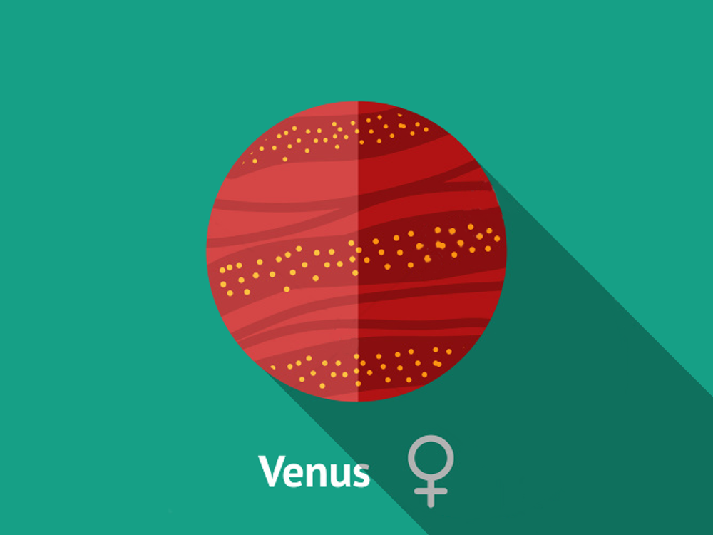 Venus: Be the Star of Your Alumni Community